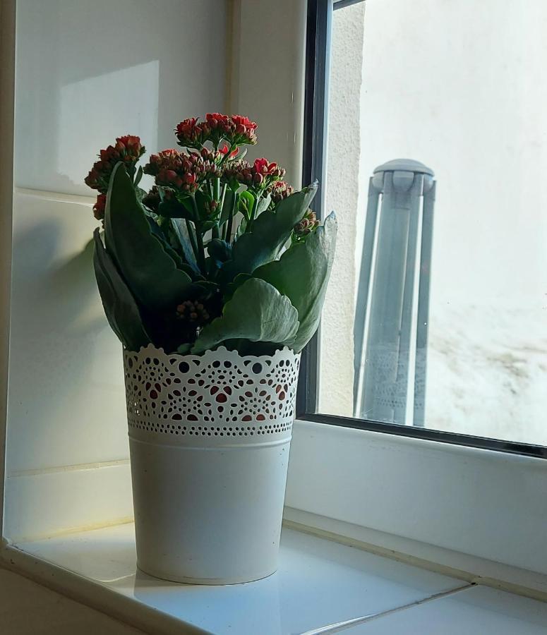 Cozy Studio In Central Lisboa Extérieur photo